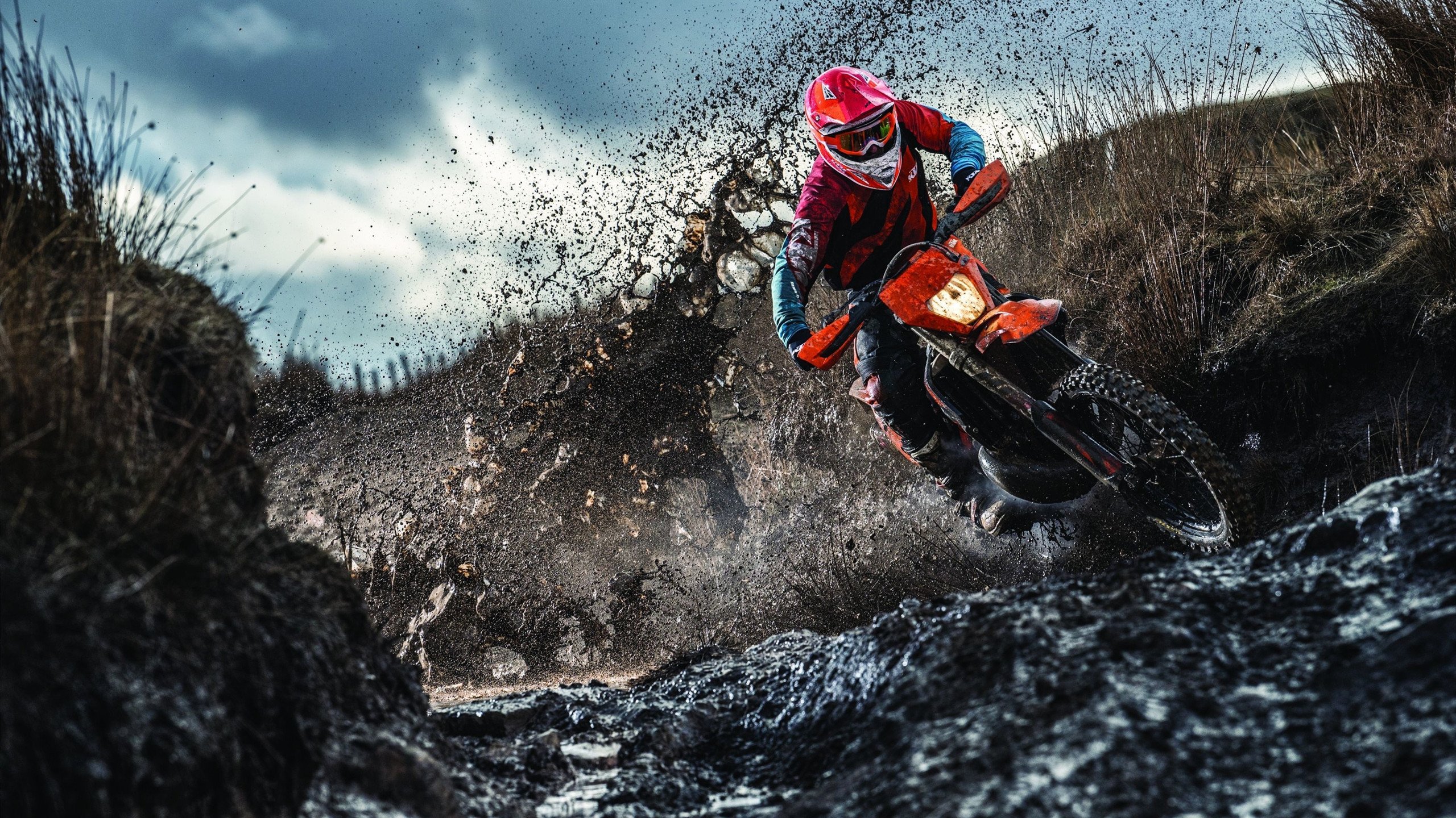 当锡安在全息球场杀死上海队,NBA奇才如何赢得虚拟总冠军?