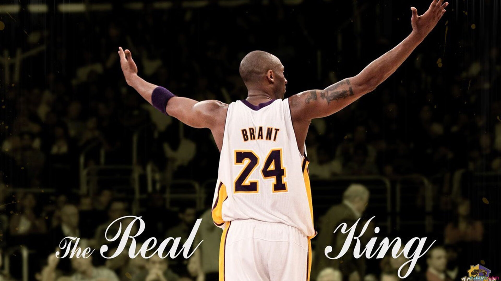 当字母哥降临洛杉矶，那个令所有防守体系失效的西决之夜